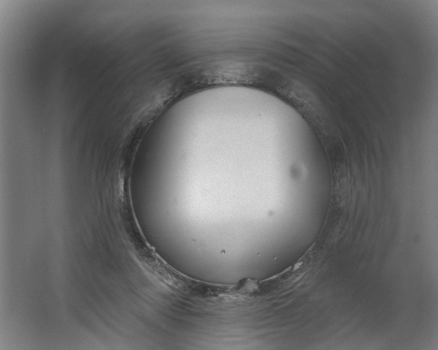 X0000062910310200601271746