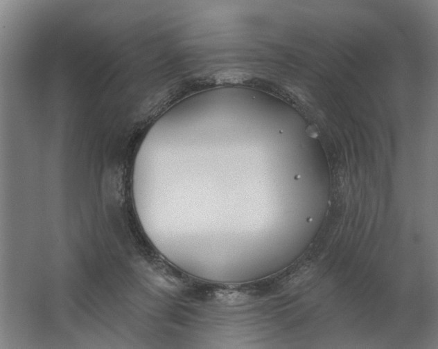 X0000062910311200601271746