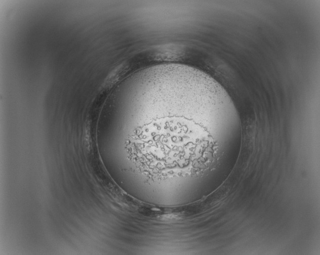 X0000062910312200601271746