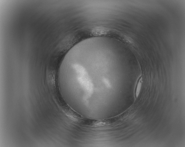 X0000062910315200601271746