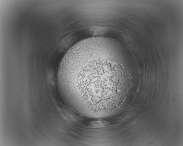 X0000062910316200601271746