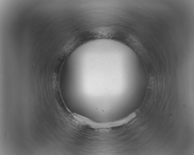 X0000062910318200601271746