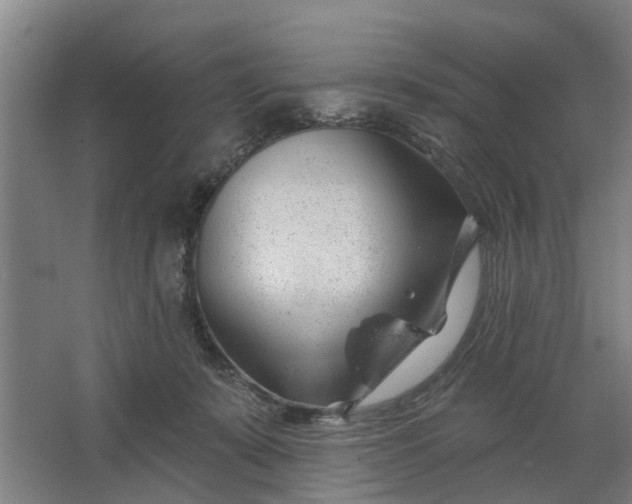 X0000062910319200601271746