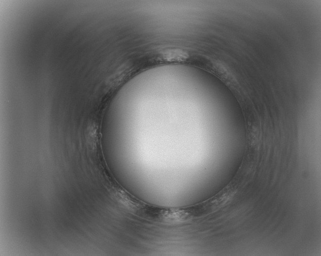 X0000062910321200601271746