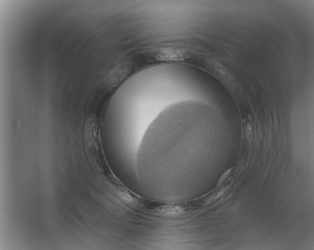 X0000062910322200601271746