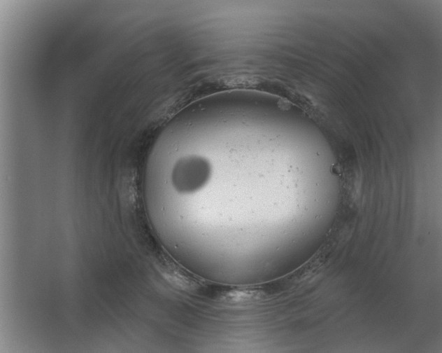 X0000062910323200601271746