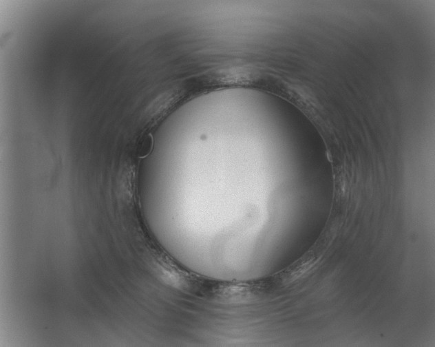 X0000062910325200601271746