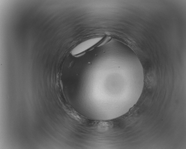 X0000062910330200601271746