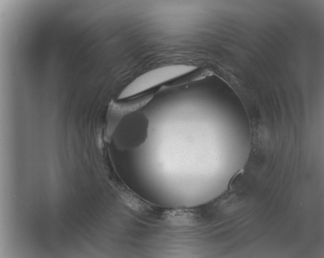 X0000062910331200601271746