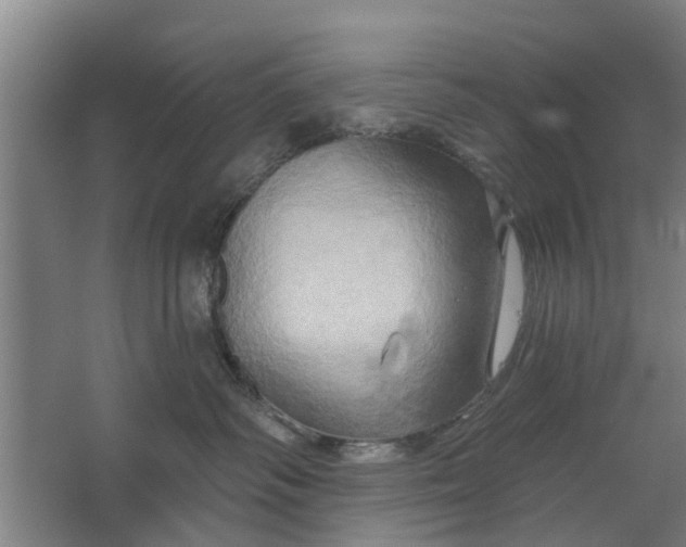 X0000062910334200601271746