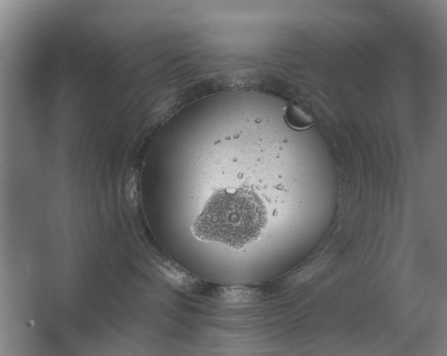 X0000062910336200601271746