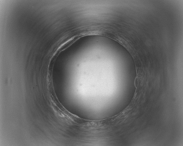 X0000062910338200601271745