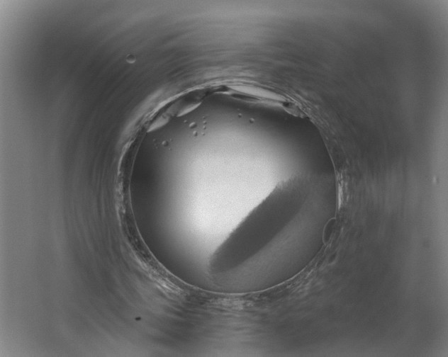 X0000062910339200601271745