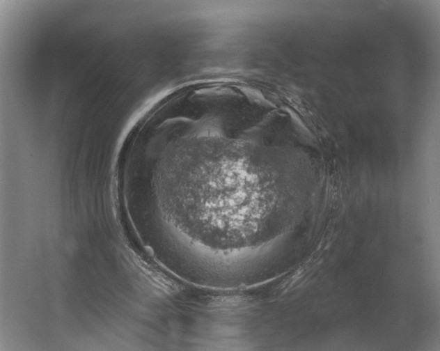 X0000062910342200601271745