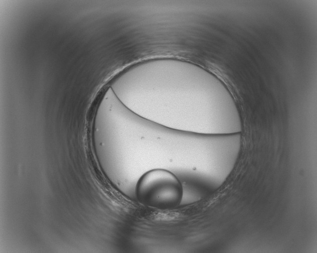 X0000062910346200601271745