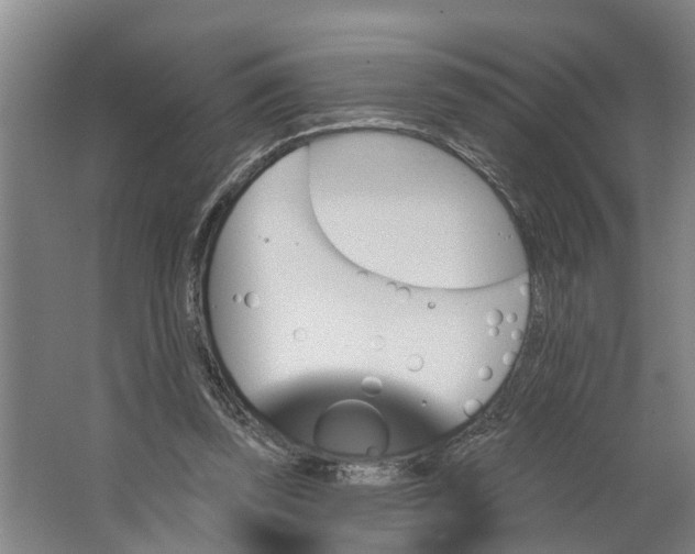 X0000062910347200601271745