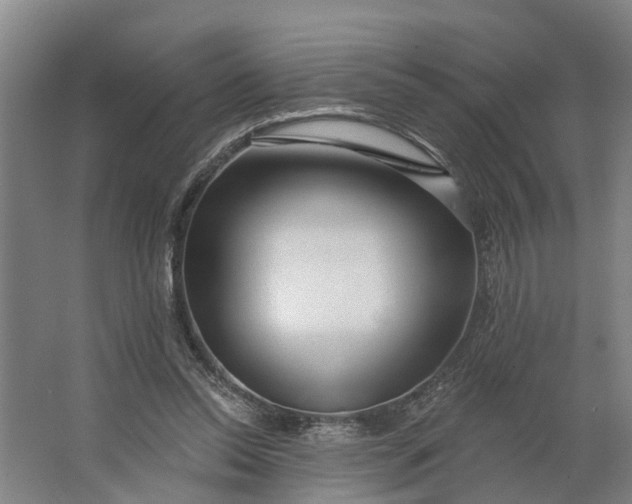 X0000062910350200601271745