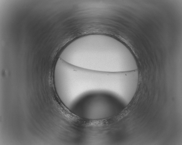 X0000062910353200601271745