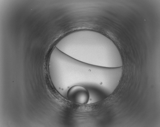 X0000062910354200601271745