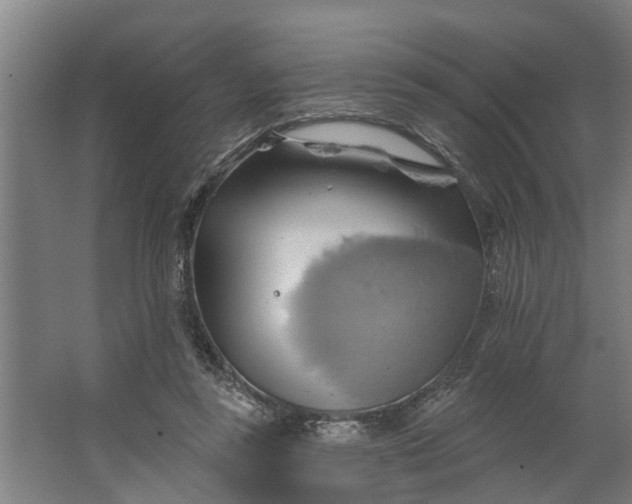 X0000062910355200601271745