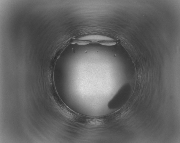 X0000062910359200601271745