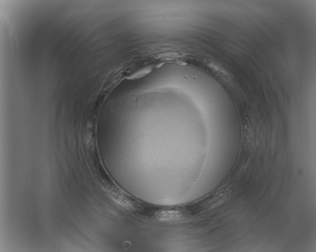 X0000062910361200601271745