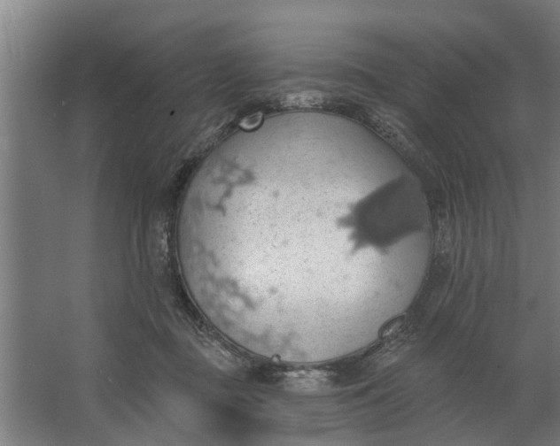 X0000062910363200601271745