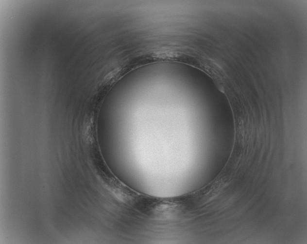 X0000062910364200601271745