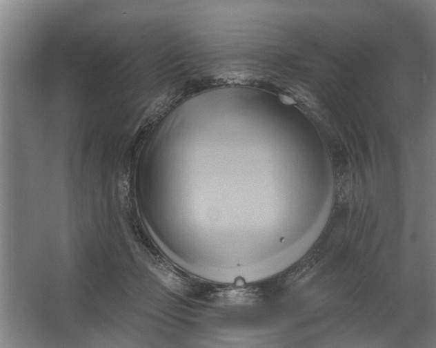 X0000062910365200601271745