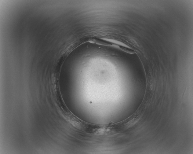 X0000062910366200601271745