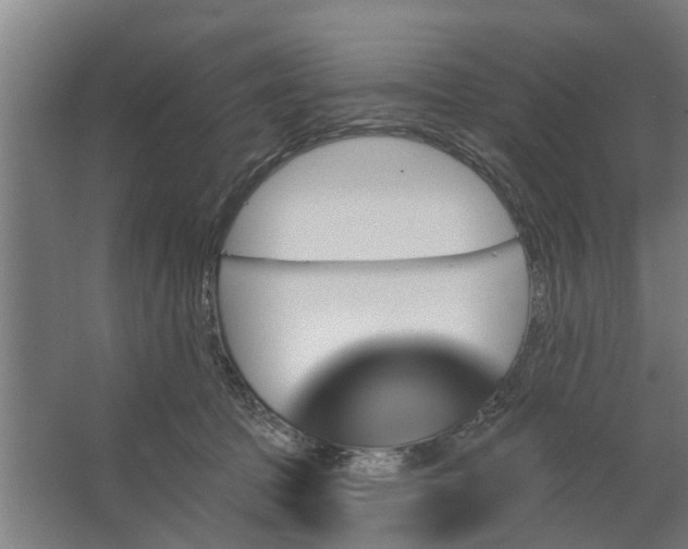 X0000062910369200601271745