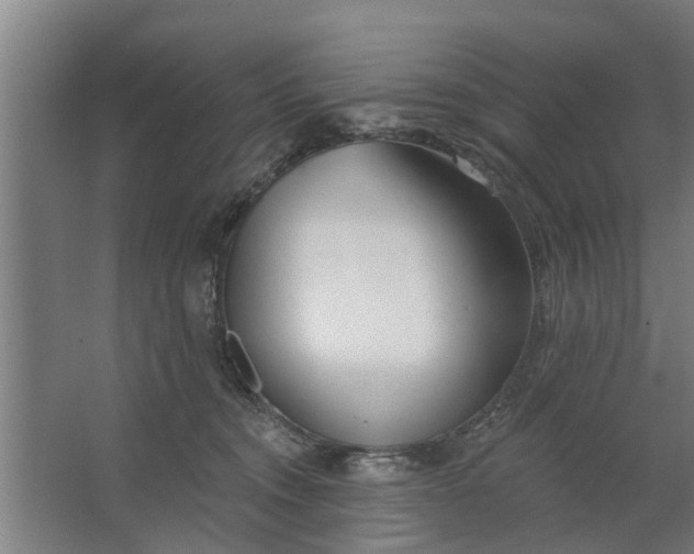 X0000062910372200601271745