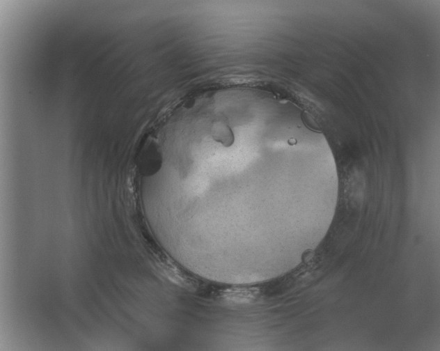 X0000062910373200601271746