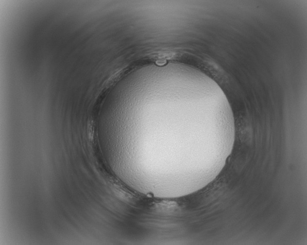 X0000062910374200601271746