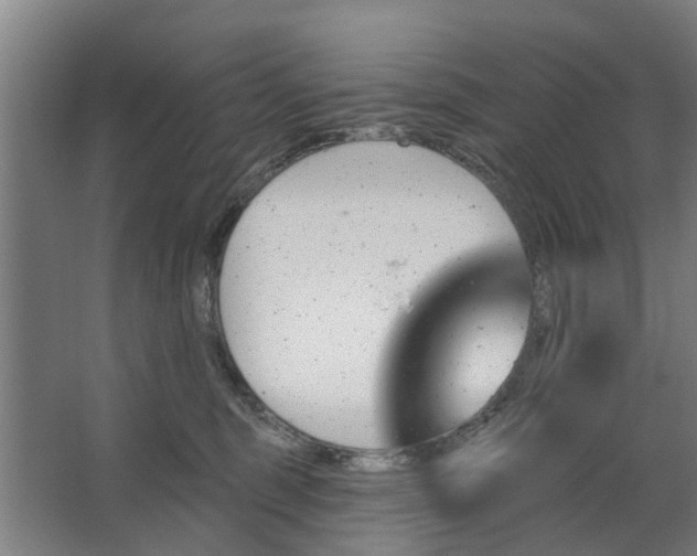 X0000062910375200601271746