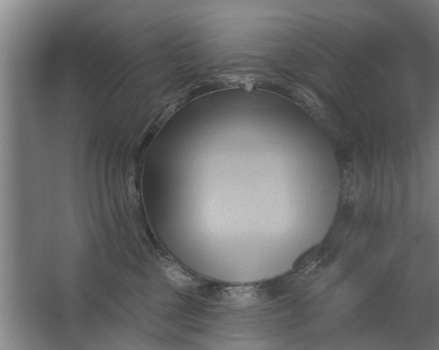 X0000062910377200601271746