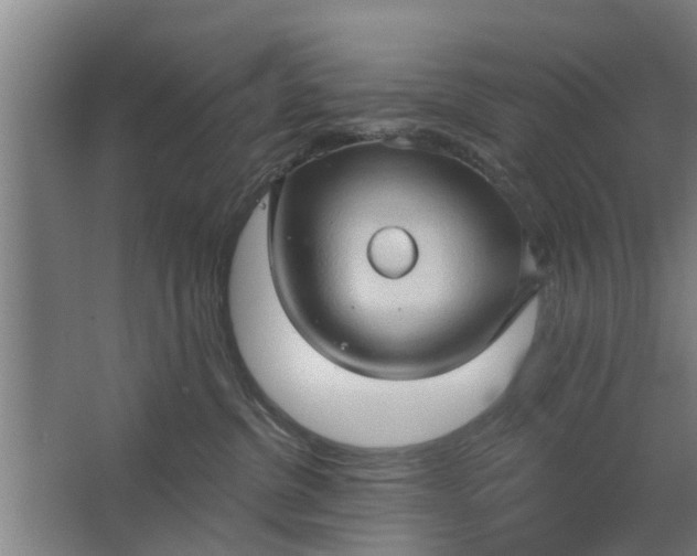 X0000062910380200601271746