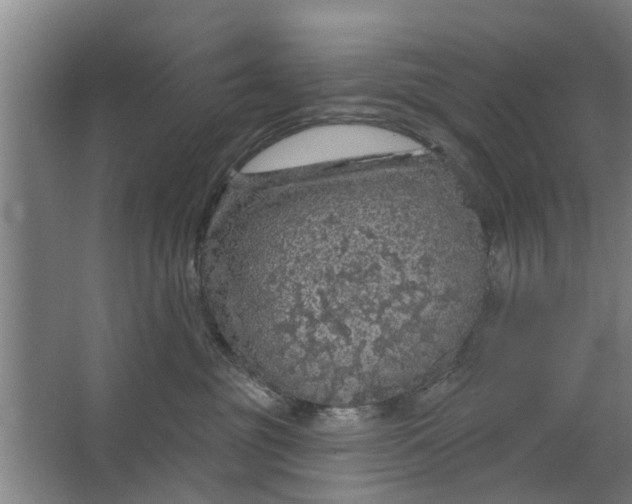 X0000062910381200601271746