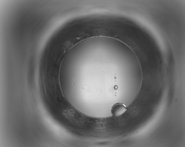 X0000062910382200601271746