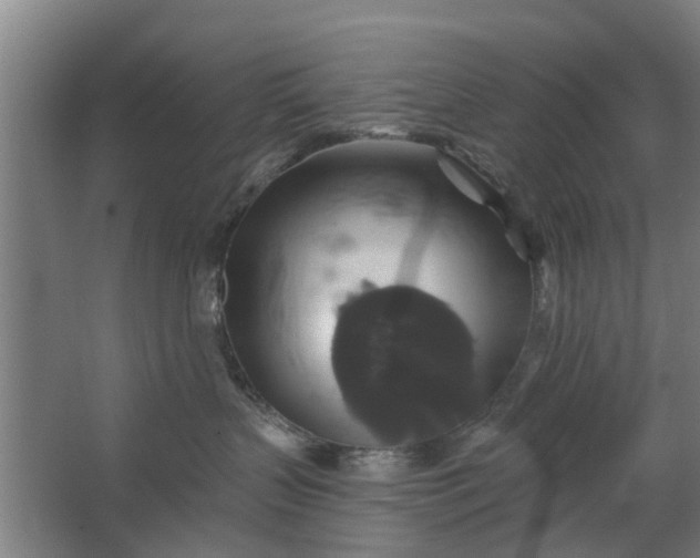 X0000062910383200601271746