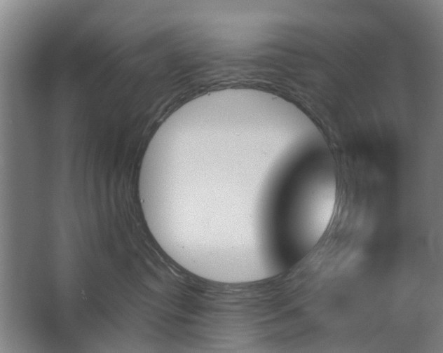 X0000062910384200601271746