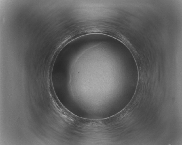 X0000062910386200601271745