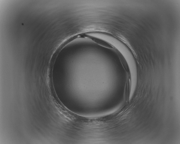 X0000062910387200601271745