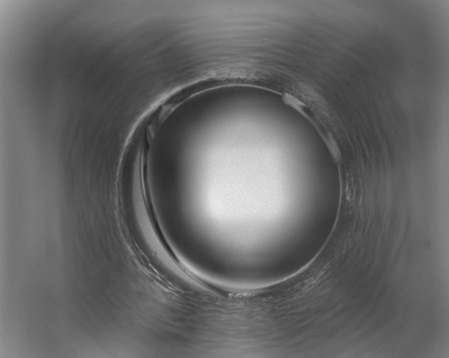 X0000062910388200601271745