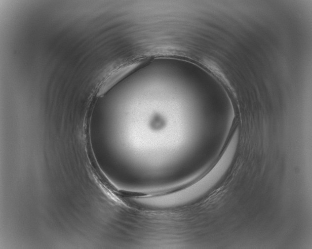 X0000062910389200601271745