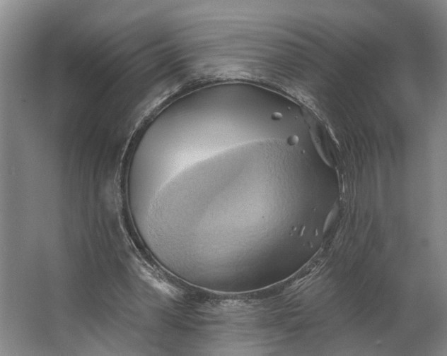 X0000062910390200601271745