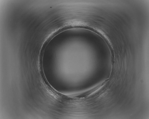 X0000062910391200601271745