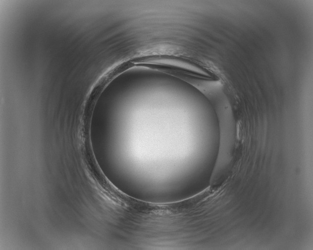 X0000062910392200601271745