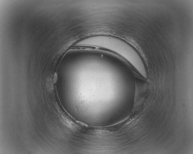 X0000062910393200601271745