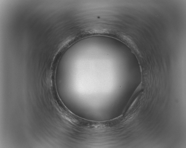 X0000062910395200601271745